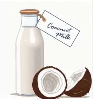 Keto Pantry Staples List - Coconut Milk Illustration