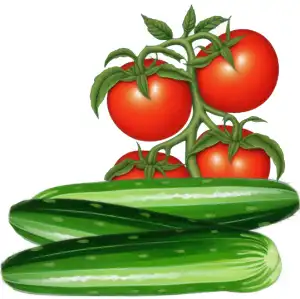 Keto Pantry Staples List - Cucumbers and Tomatoes Illustration