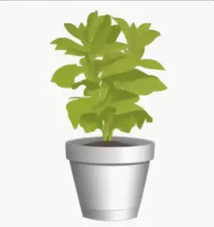Keto Pantry Staples List - Stevia Plant Illustration