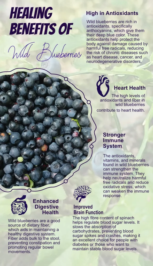 Healing Benefits of Wild Blueberry InfoGraphic