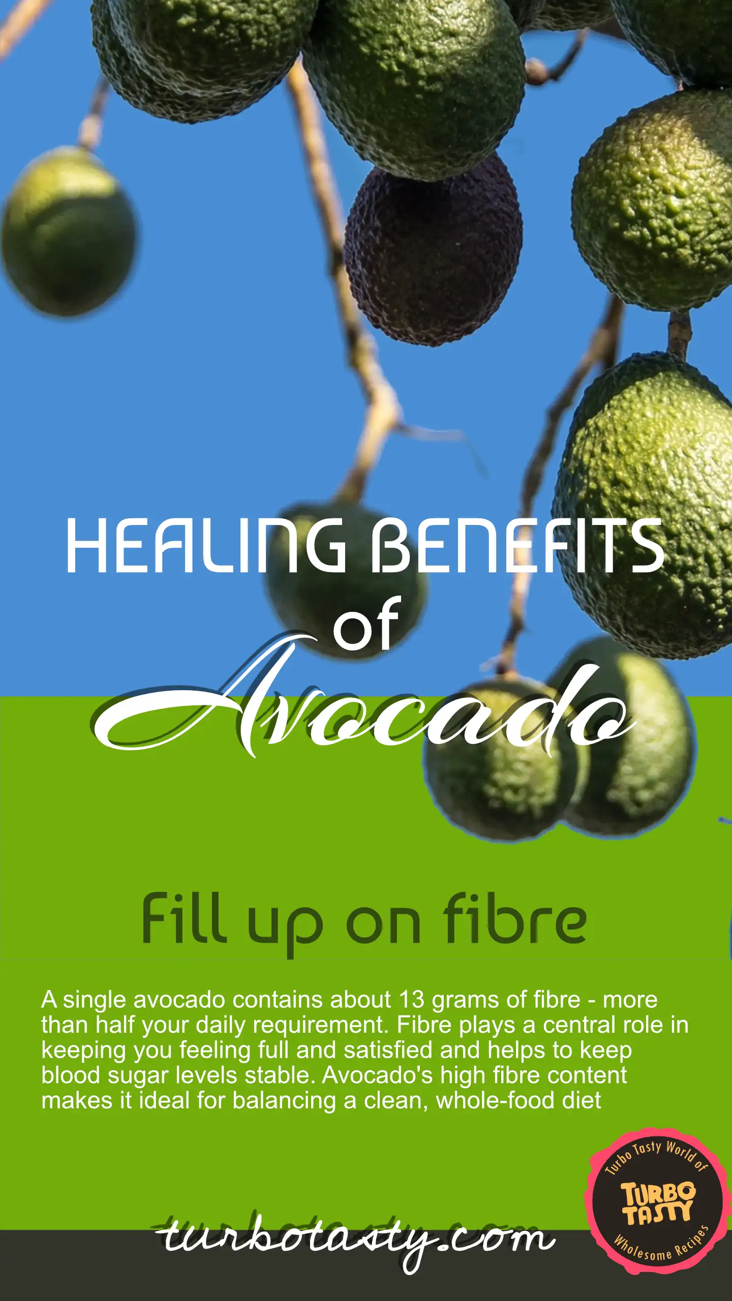 Health benefits of avocado as high fibre content