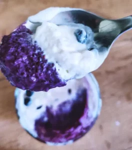 Wild Blueberry Chia Seeds Pudding Post