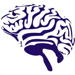 Blueberry Health benefits - Brain Health