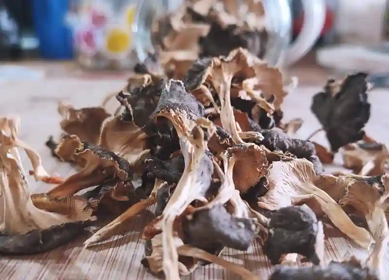 Dried mushrooms - dried chanterelles pasta recipe