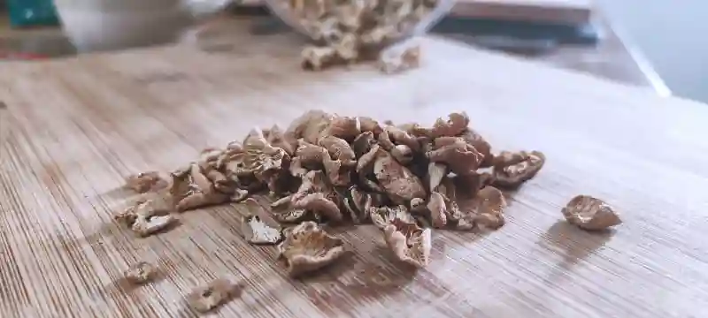Dried Wild Mushrooms - Dried MYCETINIS SCORODONIUS