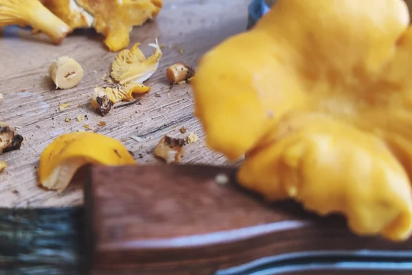 How to Clean Chanterelles