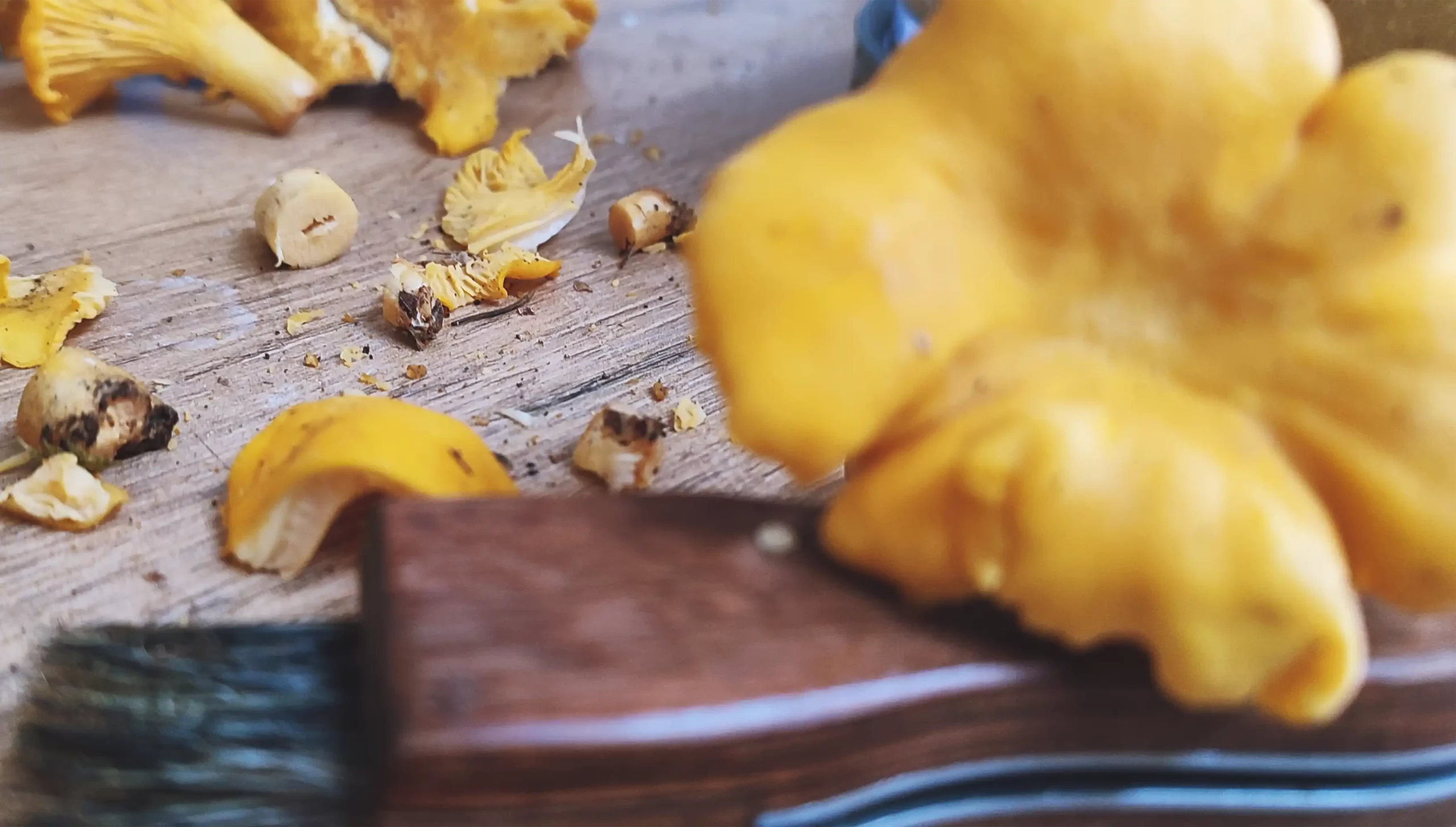 How to Clean Chanterelles