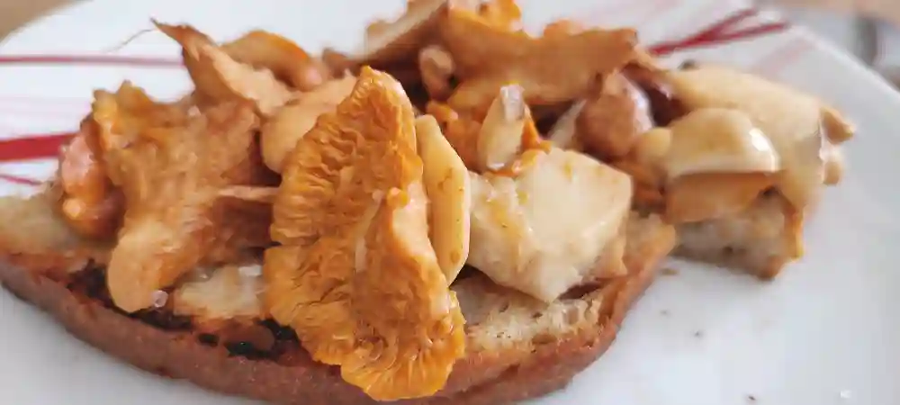 Sauteed chanterelle mushrooms, porcini & the sweet tooth
