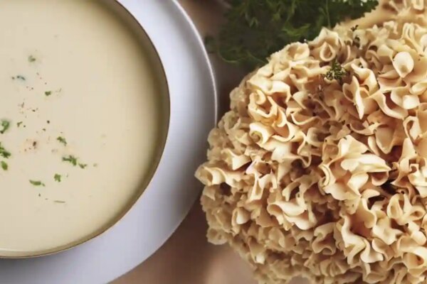 Wood Cauliflower mushroom Soup