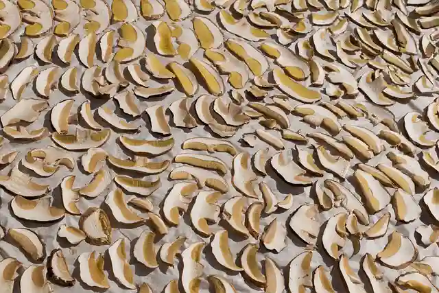 How to oven dry wild mushrooms at home? 