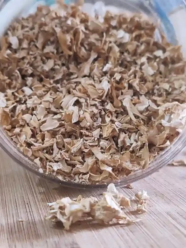Dried mushrooms - dried Sparassis Crispa soup recipe