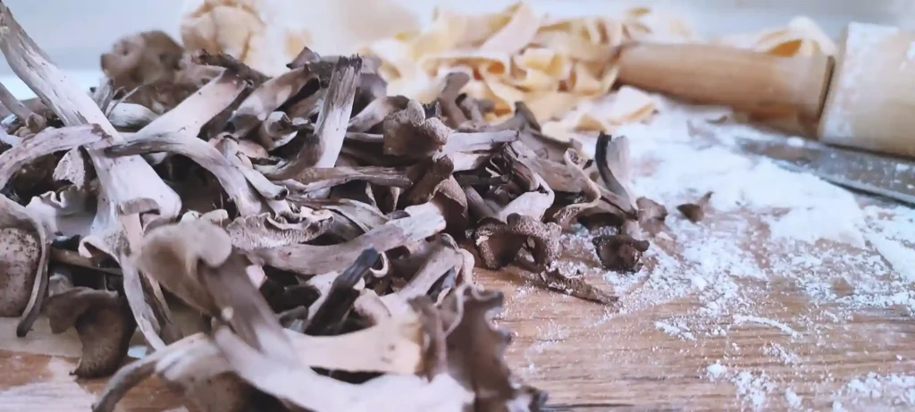 Black Trumpet Pasta with dried Porcini & Dried Yellow Food