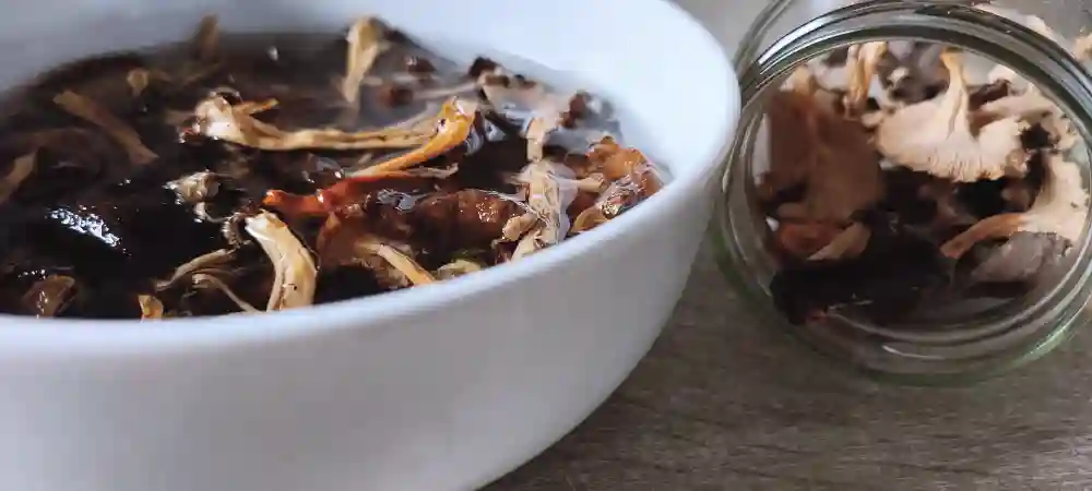 21+ Black Trumpet Mushroom Recipe