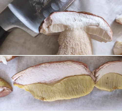 Freezing Raw Porcini Mushrooms