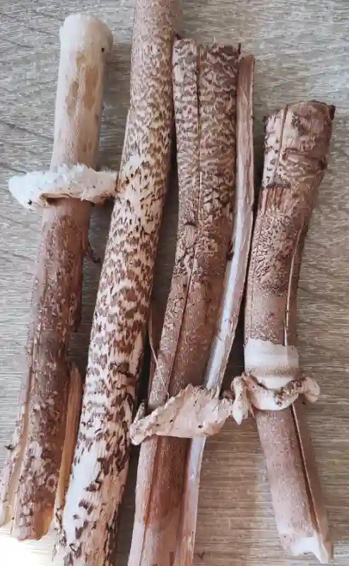 Mushroom Broth - great to add dried Parasol mushroom Stems