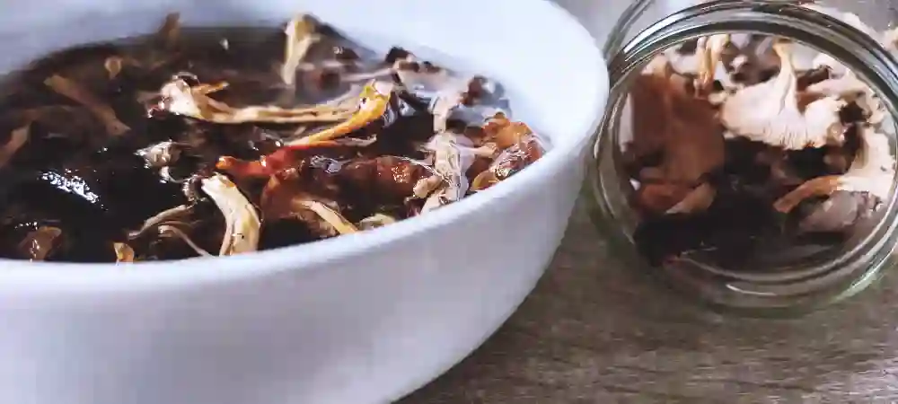 Soaking Dried Mushrooms