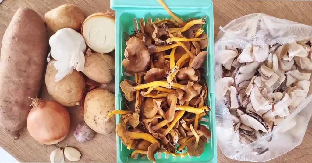 Yellow Foot and Porcini Mushroom Stew Ingredients