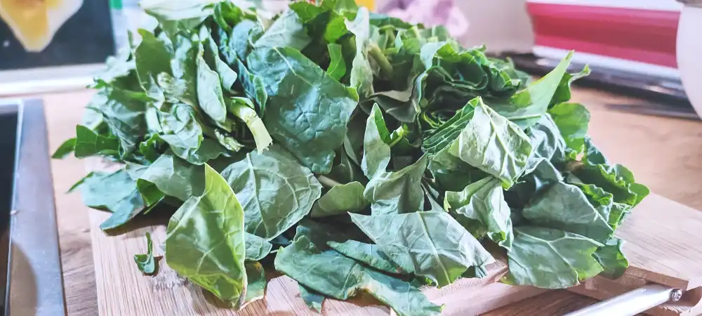 Collard Greens Pesto Extravaganza with 3 Ingredient pasta dough 