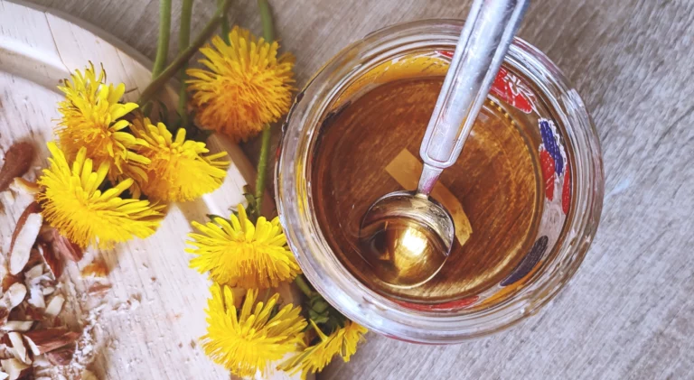 recipe for dandelion honey