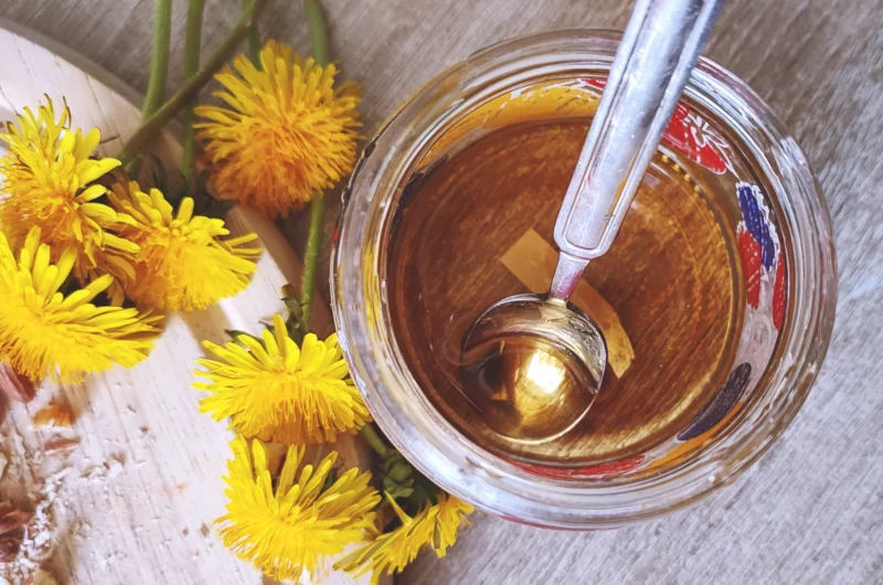 Make a Dandelion Honey: A vegan-friendly delight