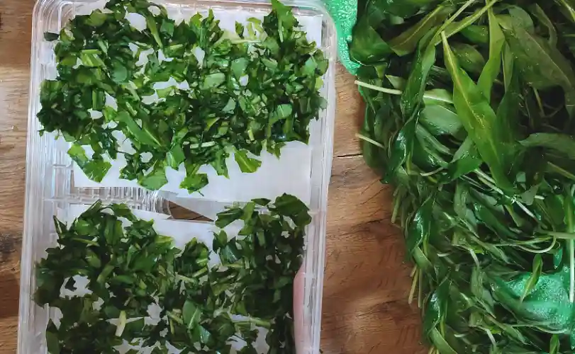 How to dry wild garlic at Home using a dehydrator