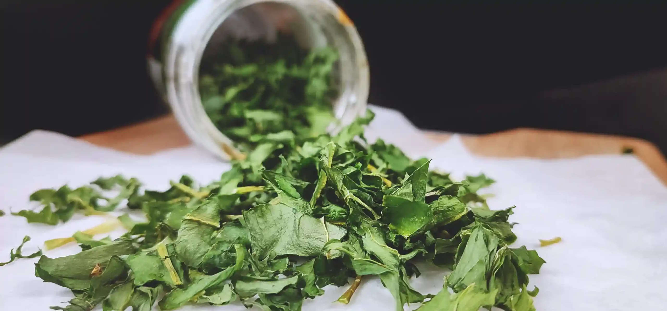 How to Dry Wild Garlic Feature Image