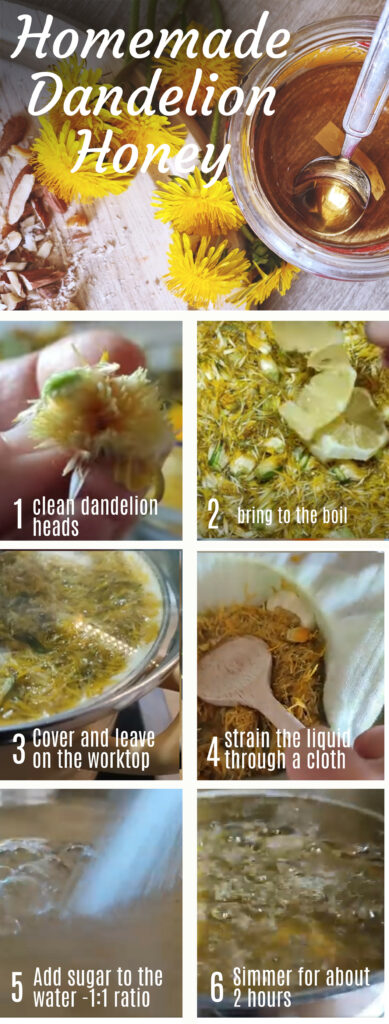 Step by Step guide for Dandelion honey recipe vegan-friendly