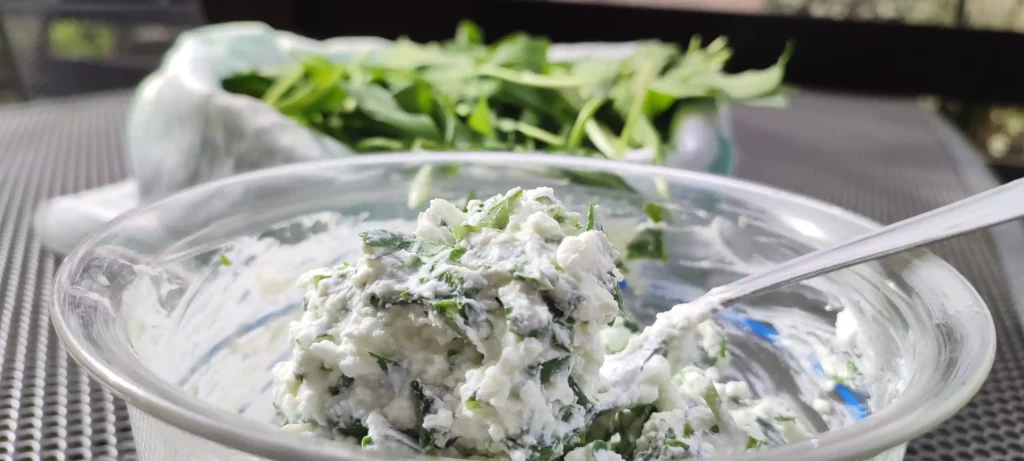 Wild Garlic with Cottage Cheese