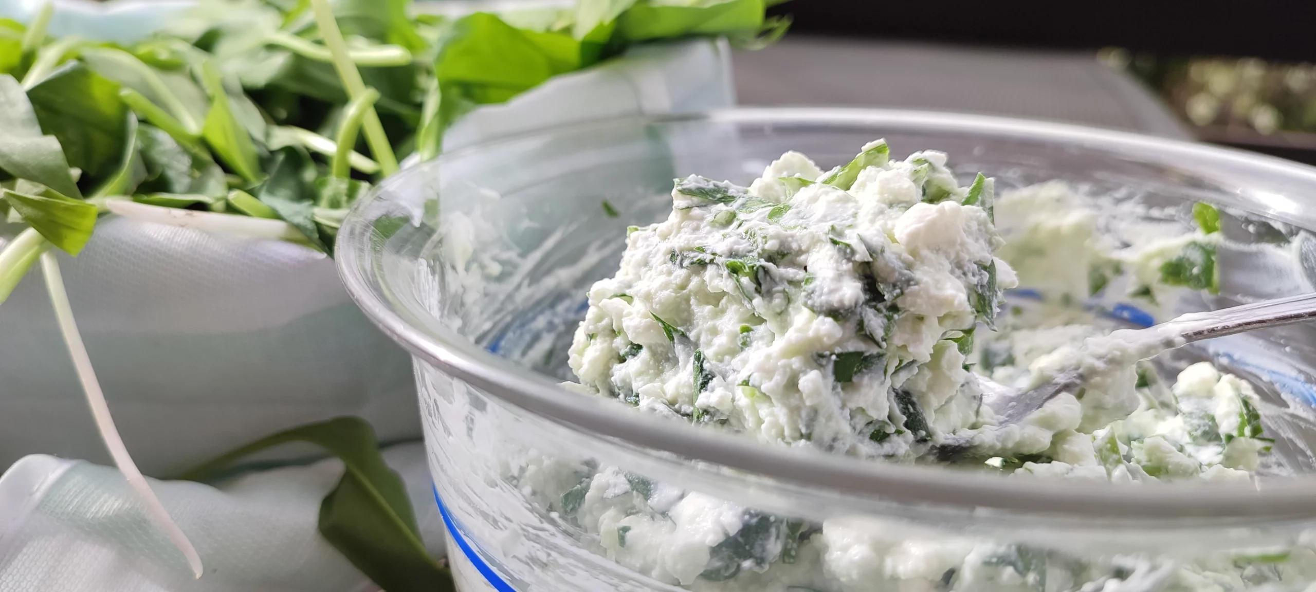 Wild Garlic with Cottage Cheese