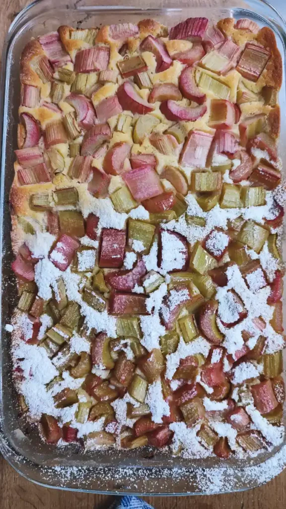 Easy rhubarb sponge cake fresh from the oven, golden brown crust topped with tangy rhubarb pieces, sprinkled with icing sugar before serving.