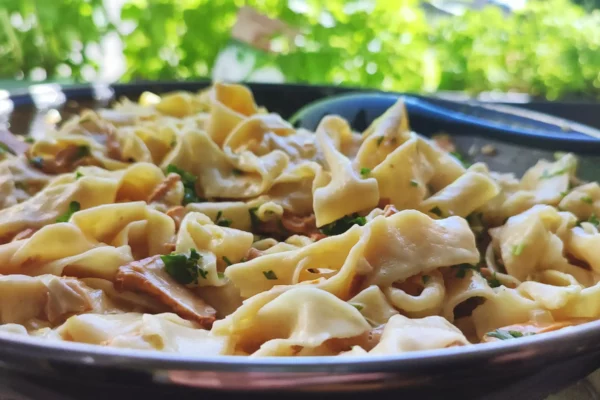 Chanterelle Cream Sauce Pasta Recipe