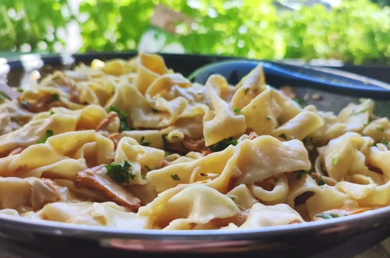 Quick & Easy Chanterelle Cream Sauce Pasta