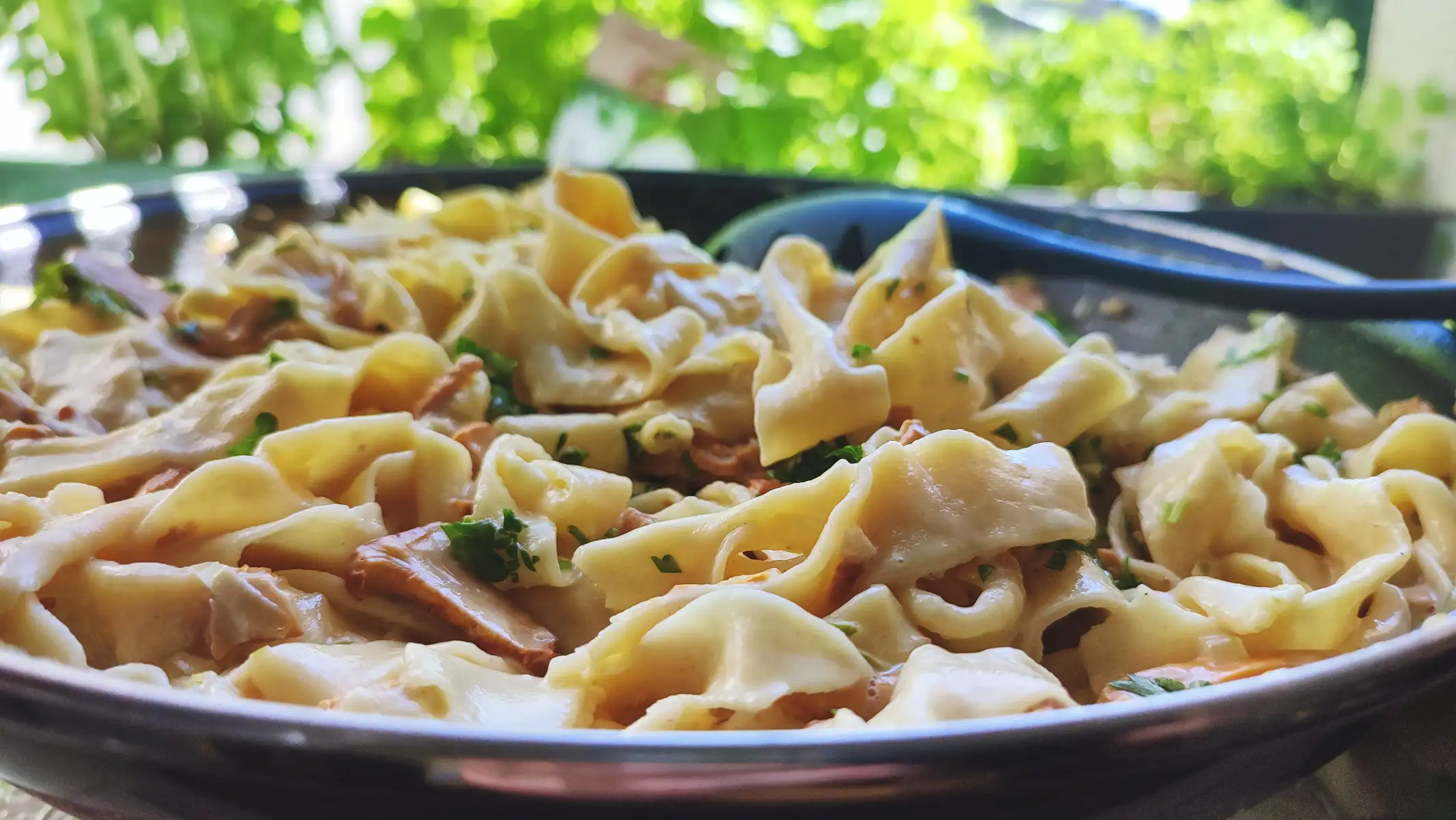 Chanterelle Cream Sauce Pasta Recipe