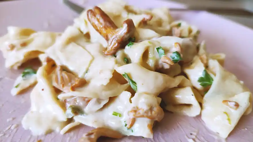 Quick & Easy Chanterelle Cream Sauce Pasta on a pink plate