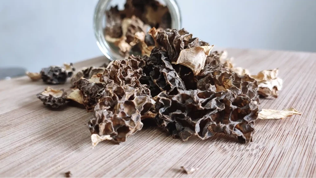 how to dehydrate morel mushrooms