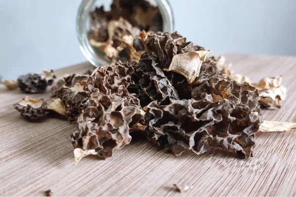 how to dehydrate morel mushrooms