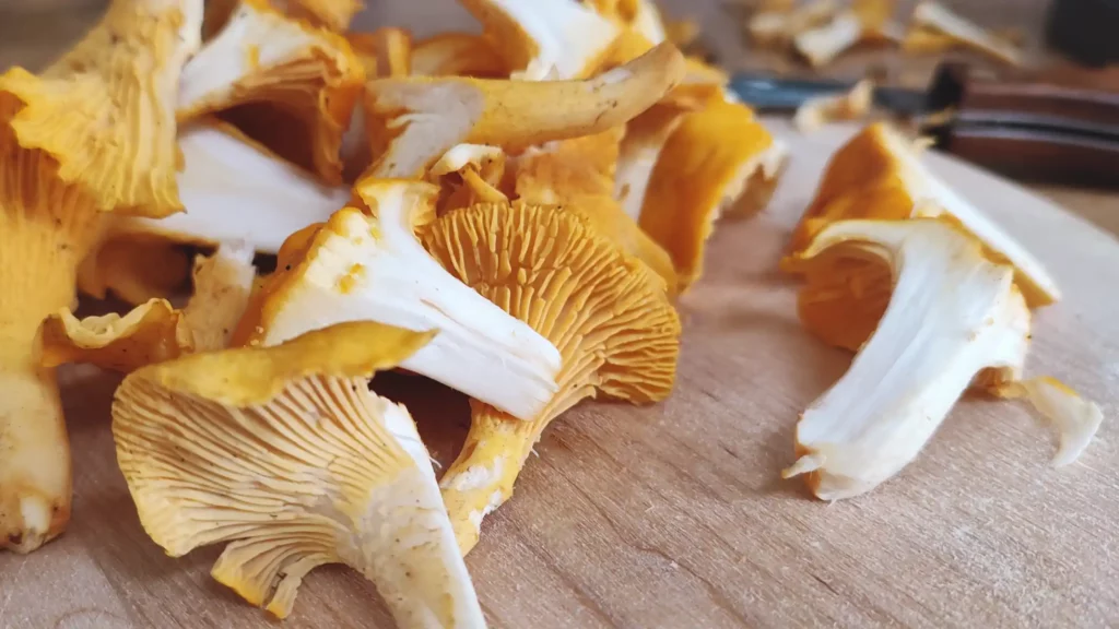 Fresh Chanterelle Mushrooms on a cutting board before freezing process