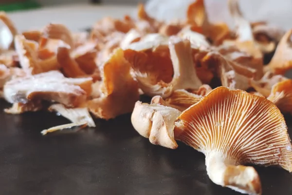 How to Freeze Chanterelle Mushrooms featured