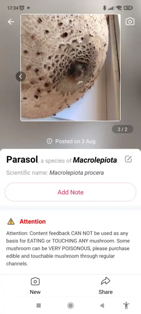Screen shot of Picture Mushroom - mushroom foraging app review