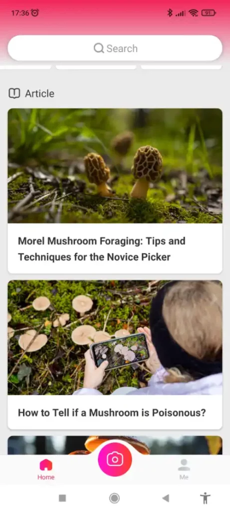 List of articles to learn mushrooms in Picture Mushroom - mushroom foraging app review