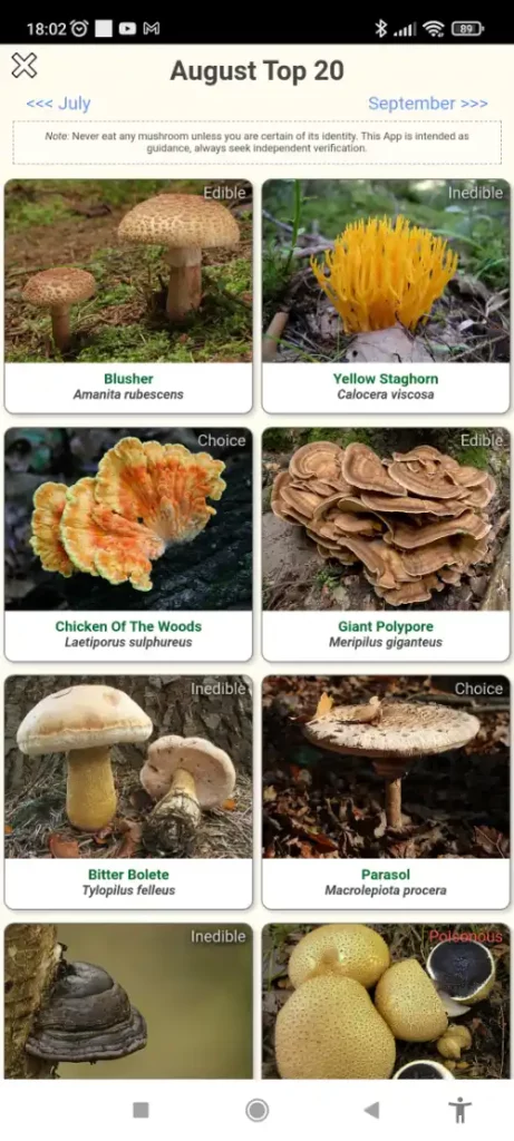 Schroomify  mushroom foraging app review