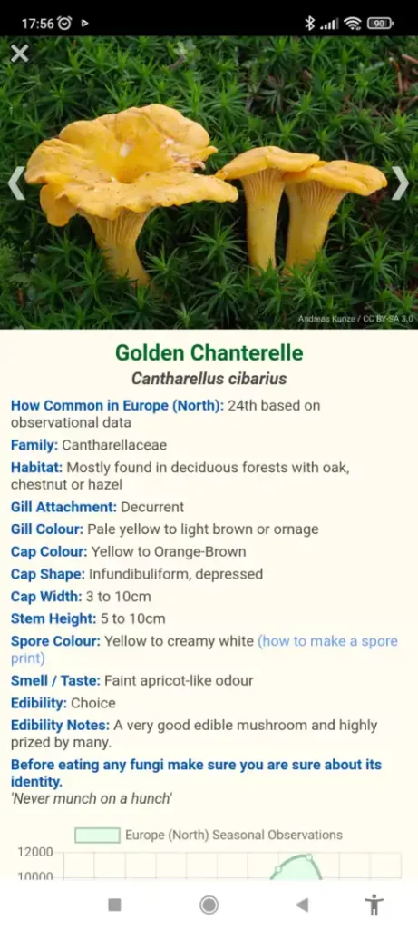  Screen shot of chanterelle mushroom foraging app review