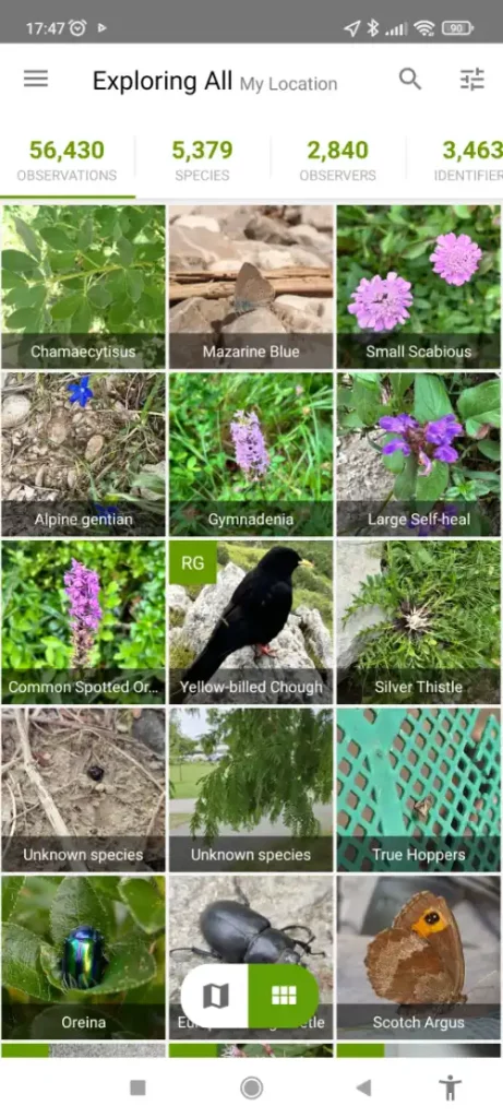 iNaturalist first screen - user obesrvation - mushroom foraging app review