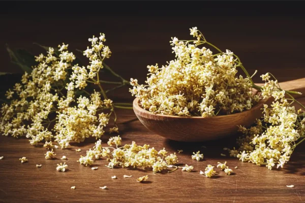 Elderflower Tea Benefits