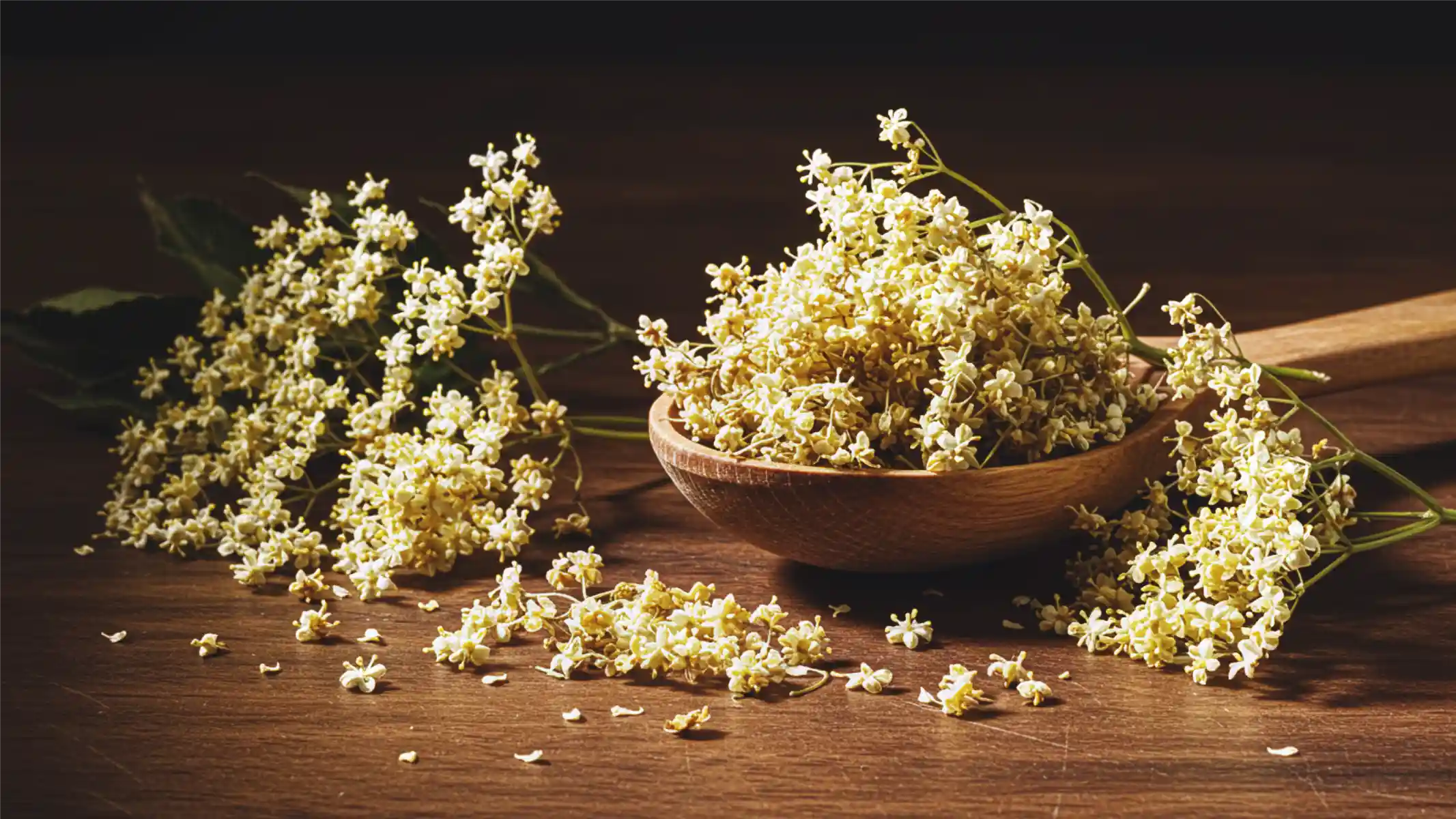 Elderflower Tea Benefits