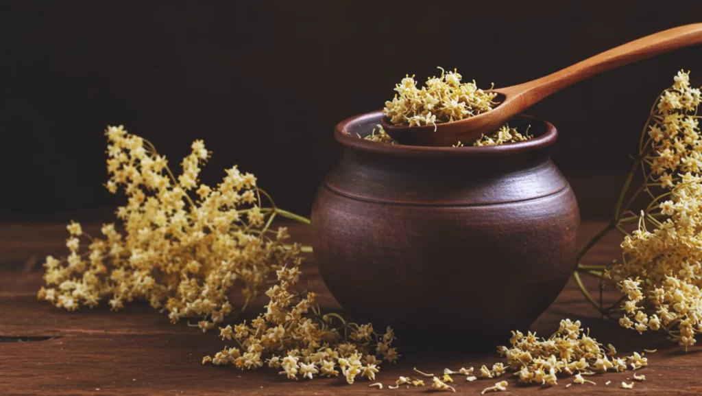 Elderflower Tea Benefits